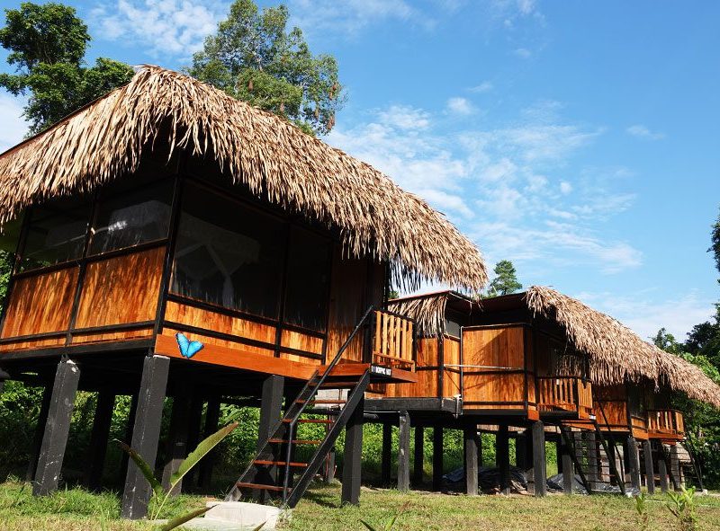 cuyabeno-lodge-suites-tucan-amazonas-ecuador-800x591